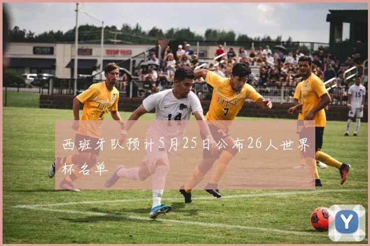 西班牙队预计5月25日公布26人世界杯名单